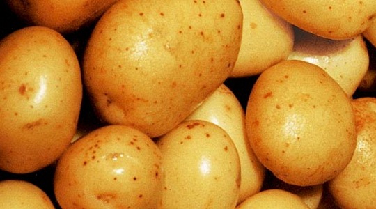 Potrebe na tržištu krumpira