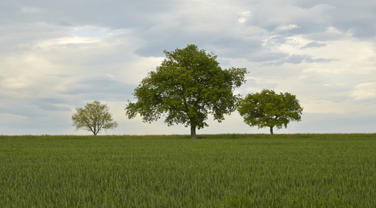 Okoliš i recikliranje